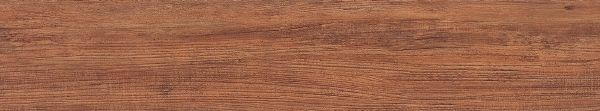Sàn nhựa Winton giả gỗ PW1501